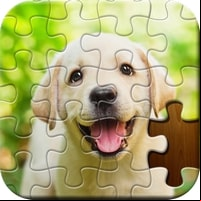 Jigsaw Puzzle